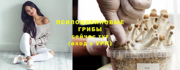 кристаллы Абаза